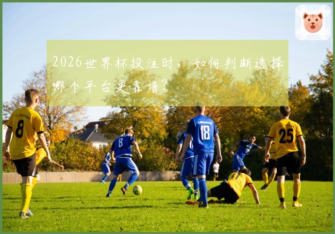 2026世界杯投注时，如何判断选择哪个平台更靠谱？