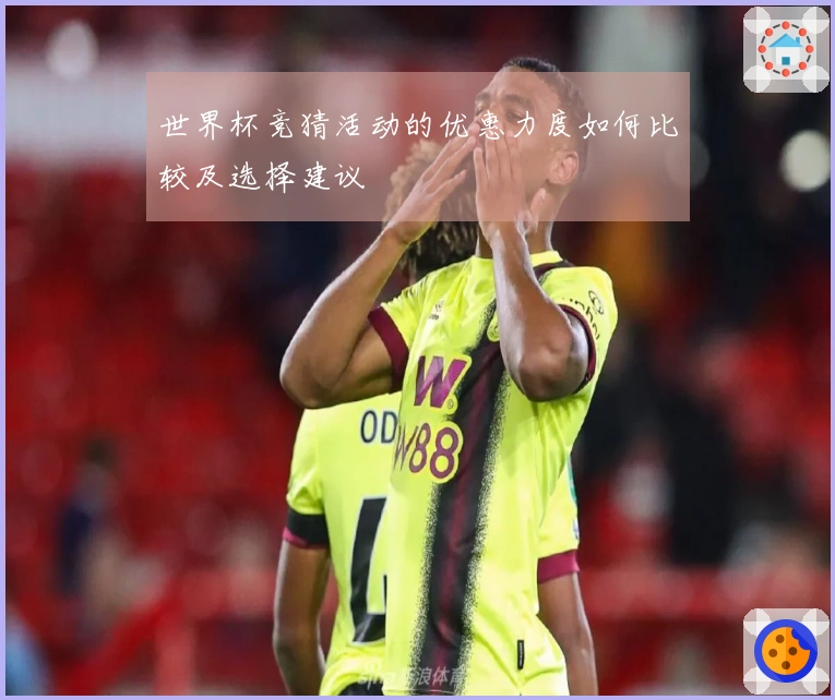 世界杯竞猜活动的优惠力度如何比较及选择建议