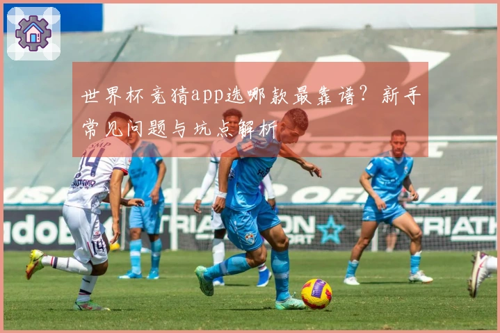 世界杯竞猜app选哪款最靠谱？新手常见问题与坑点解析