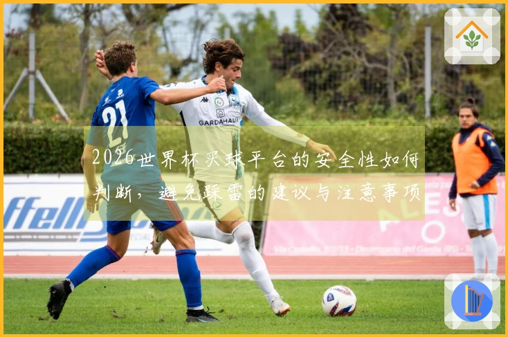 2026世界杯买球平台的安全性如何判断，避免踩雷的建议与注意事项