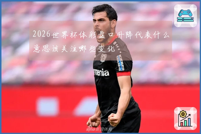 2026世界杯体彩盘口升降代表什么意思该关注哪些变化